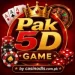 Pak5D Game
