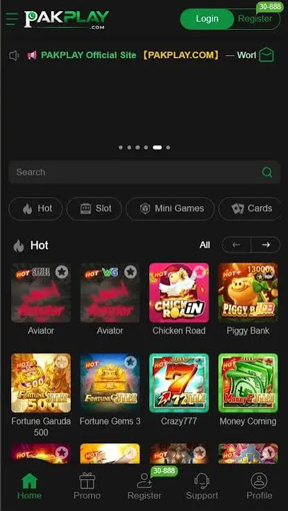 PAKPLAY Game