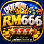 RM666 Game