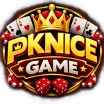 PKNICE Game